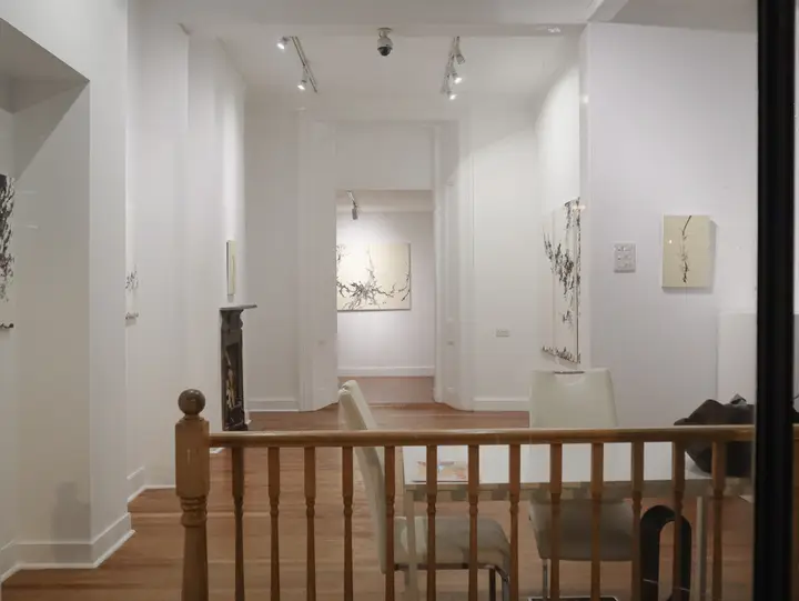 1 MOKSPACE image