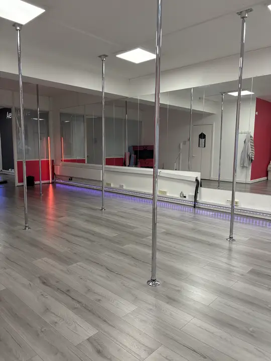 2 AerialActive pole studio image