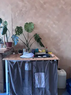 thumbnailImages img 2941